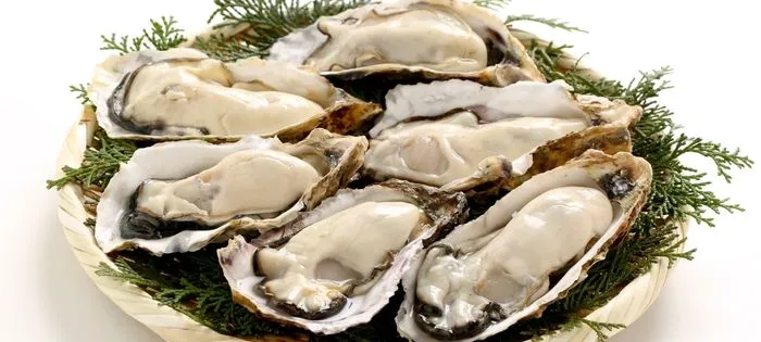 亜鉛の食べ物ランキング:魚介類牡蠣