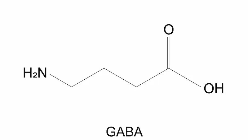 gabaとは